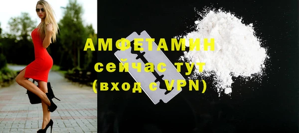 гашик Карпинск