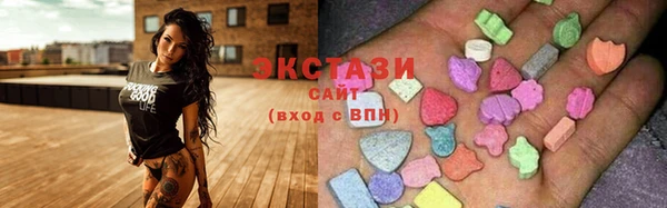 гашик Карпинск