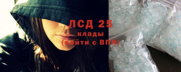гашик Карпинск