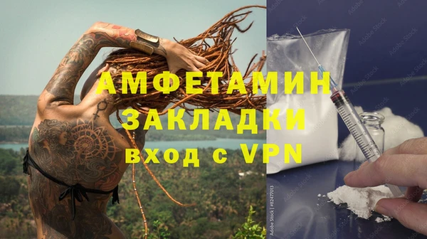 гашик Карпинск