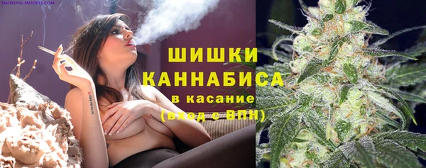 гашик Карпинск