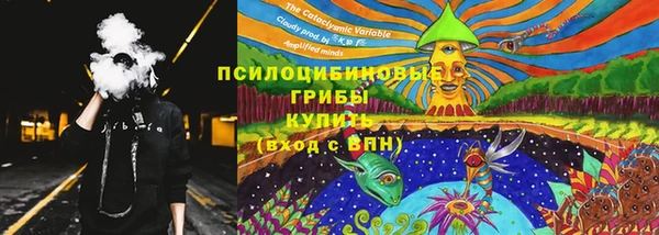 гашик Карпинск