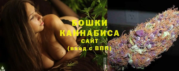 гашик Карпинск