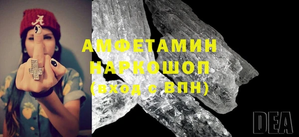 гашик Карпинск
