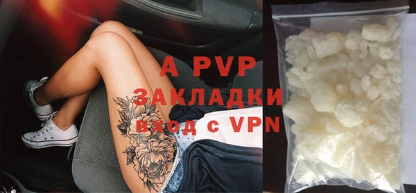 гашик Карпинск