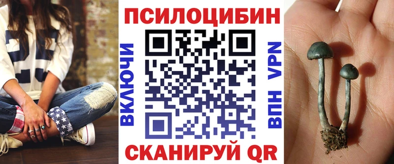 Псилоцибиновые грибы ЛСД  Купить где  Струнино 